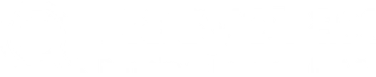 RasyoTax logosu — Denetim ve danışmanlık — Rasyo Holding grup şirketi RasyoTax logosu